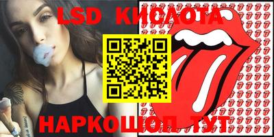 эйфоретик Новокубанск