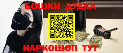 гидра Новозыбков