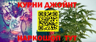 гидра Новозыбков